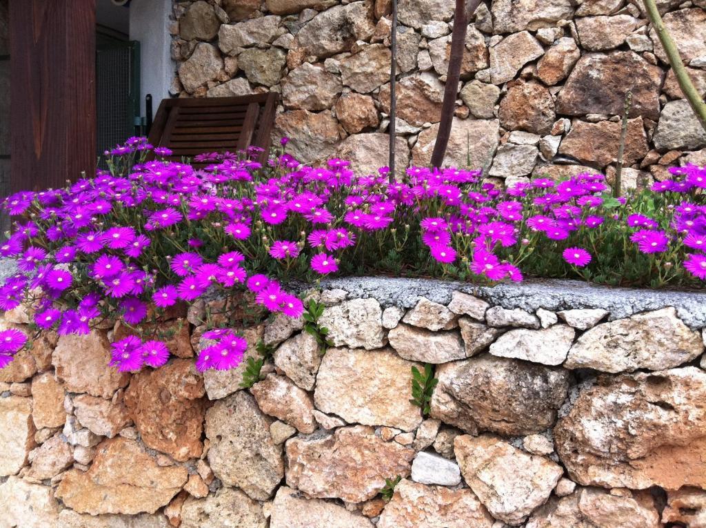 Agriturismo La Rocca Di Perti Finale Ligure Dış mekan fotoğraf